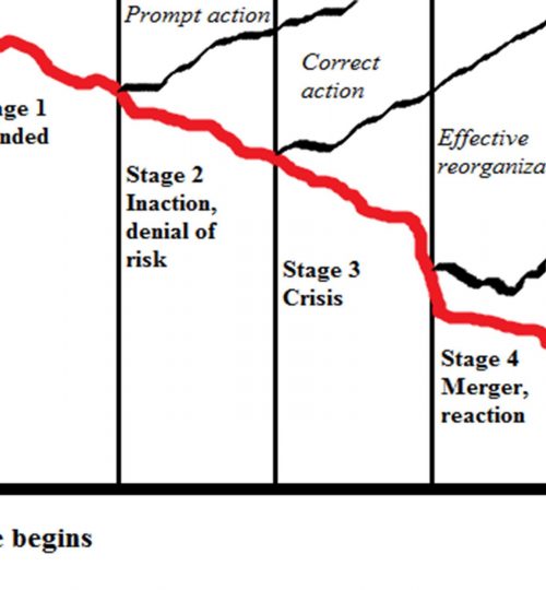 Figure 4.1. Bank decline stages